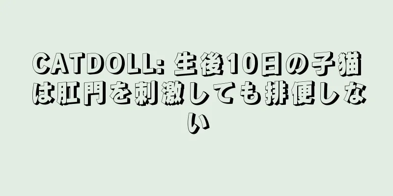 CATDOLL: 生後10日の子猫は肛門を刺激しても排便しない
