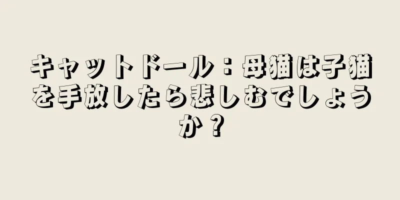 キャットドール：母猫は子猫を手放したら悲しむでしょうか？