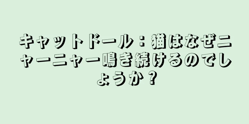 キャットドール：猫はなぜニャーニャー鳴き続けるのでしょうか？