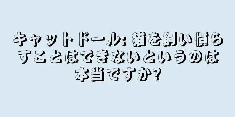 キャットドール: 猫を飼い慣らすことはできないというのは本当ですか?