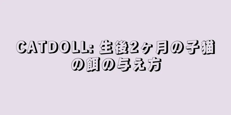 CATDOLL: 生後2ヶ月の子猫の餌の与え方