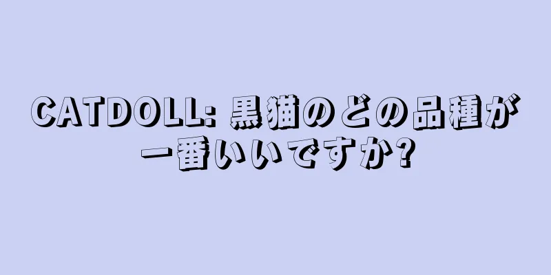 CATDOLL: 黒猫のどの品種が一番いいですか?