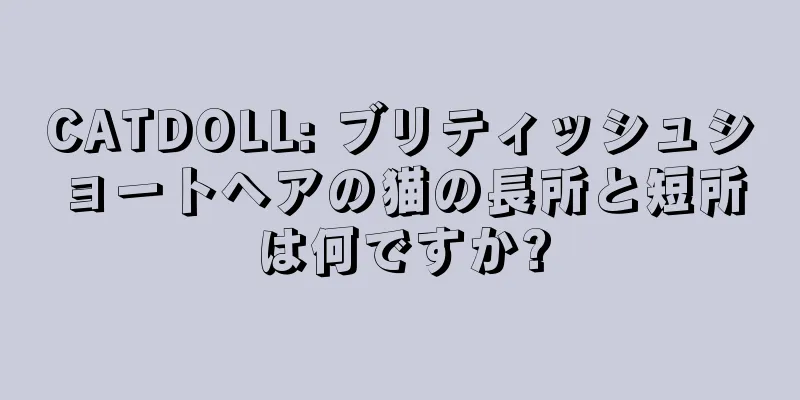 CATDOLL: ブリティッシュショートヘアの猫の長所と短所は何ですか?