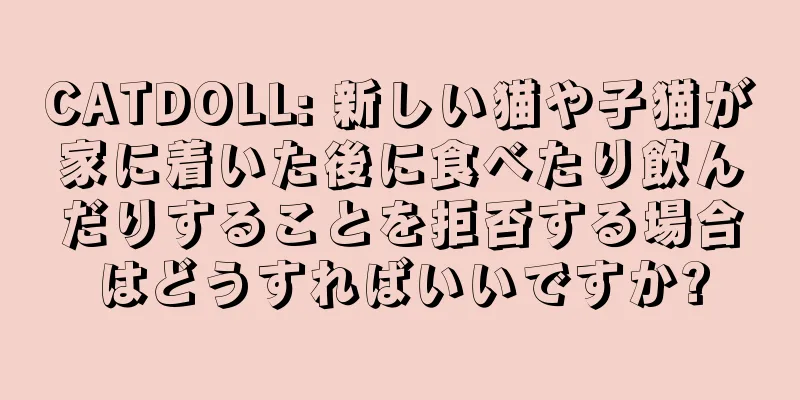CATDOLL: 新しい猫や子猫が家に着いた後に食べたり飲んだりすることを拒否する場合はどうすればいいですか?