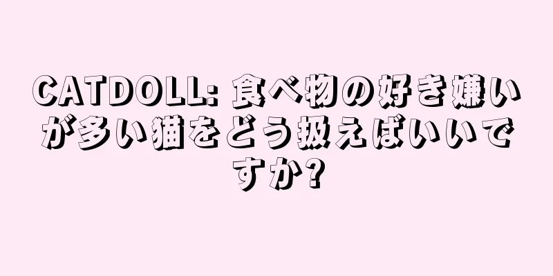 CATDOLL: 食べ物の好き嫌いが多い猫をどう扱えばいいですか?