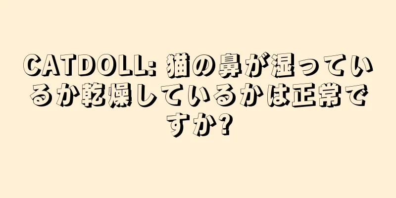CATDOLL: 猫の鼻が湿っているか乾燥しているかは正常ですか?
