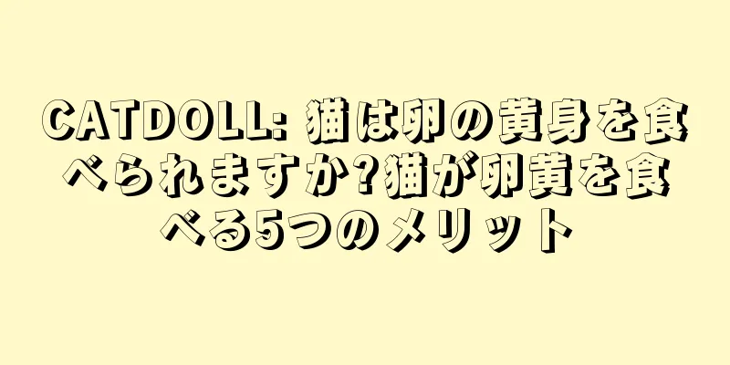 CATDOLL: 猫は卵の黄身を食べられますか?猫が卵黄を食べる5つのメリット
