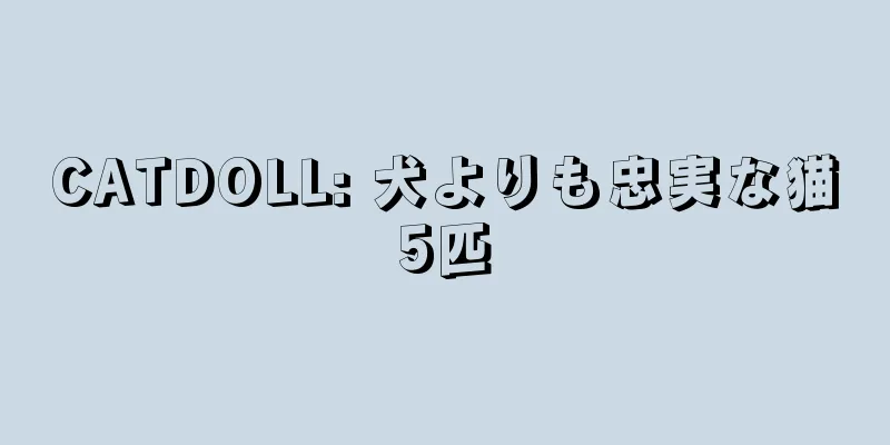 CATDOLL: 犬よりも忠実な猫5匹
