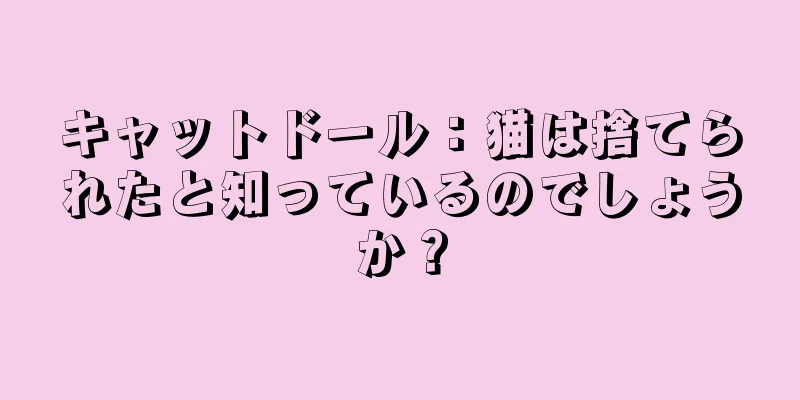 キャットドール：猫は捨てられたと知っているのでしょうか？