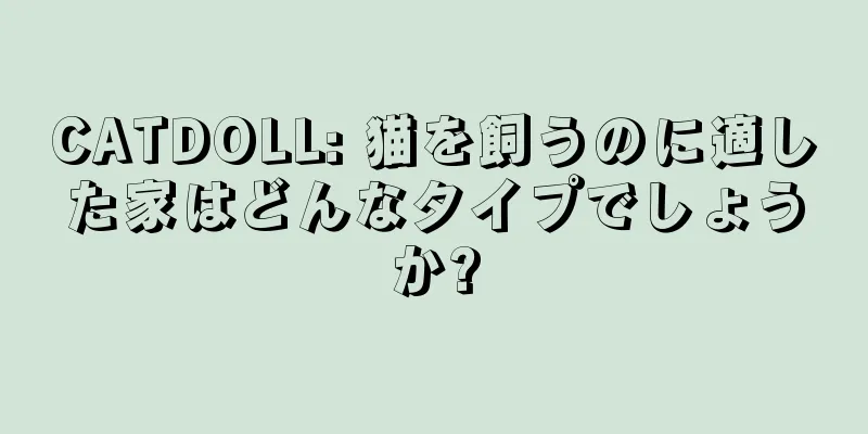 CATDOLL: 猫を飼うのに適した家はどんなタイプでしょうか?