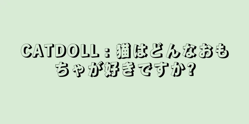 CATDOLL : 猫はどんなおもちゃが好きですか?