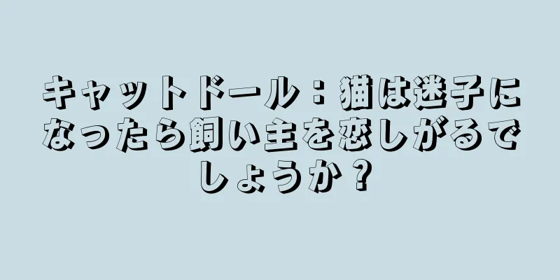 キャットドール：猫は迷子になったら飼い主を恋しがるでしょうか？