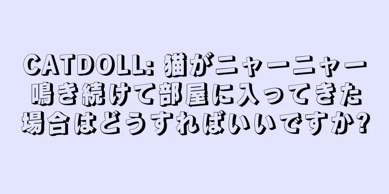 CATDOLL: 猫がニャーニャー鳴き続けて部屋に入ってきた場合はどうすればいいですか?