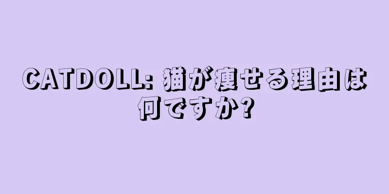 CATDOLL: 猫が痩せる理由は何ですか?