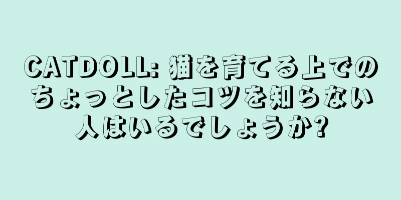 CATDOLL: 猫を育てる上でのちょっとしたコツを知らない人はいるでしょうか?