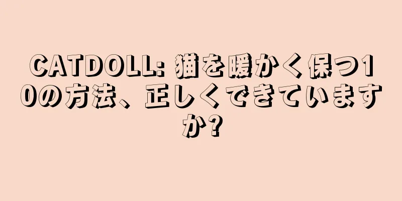 CATDOLL: 猫を暖かく保つ10の方法、正しくできていますか?