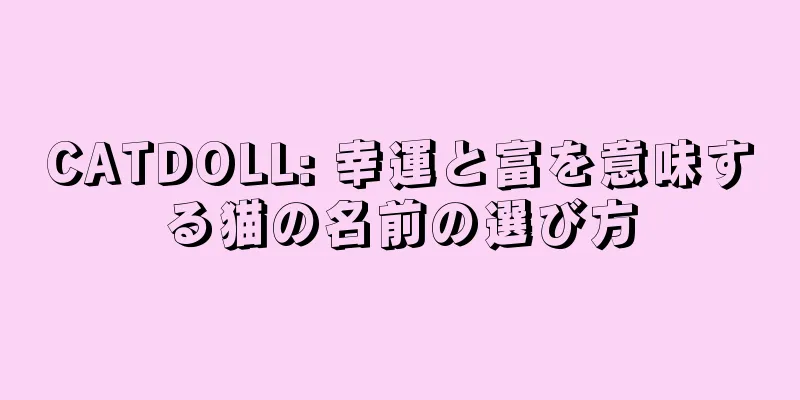 CATDOLL: 幸運と富を意味する猫の名前の選び方
