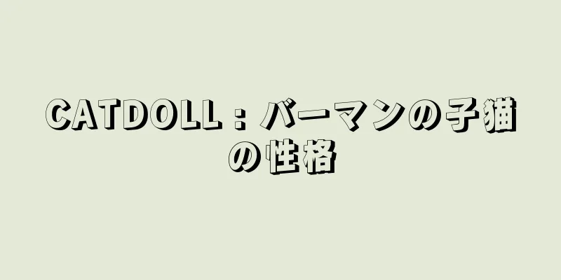 CATDOLL : バーマンの子猫の性格