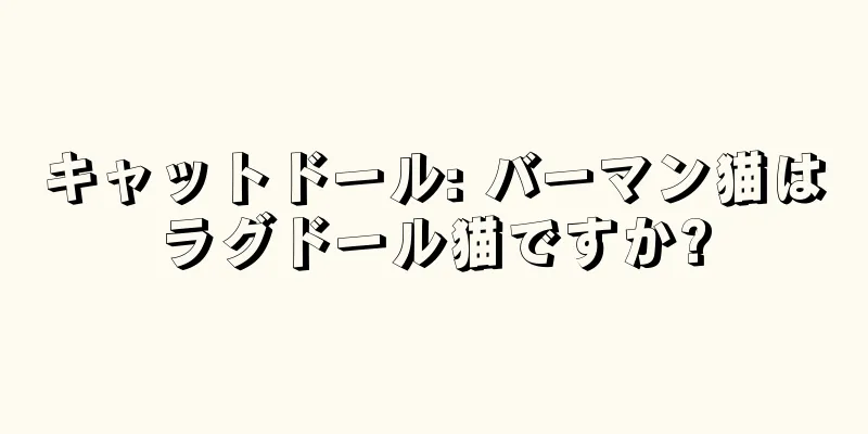 キャットドール: バーマン猫はラグドール猫ですか?