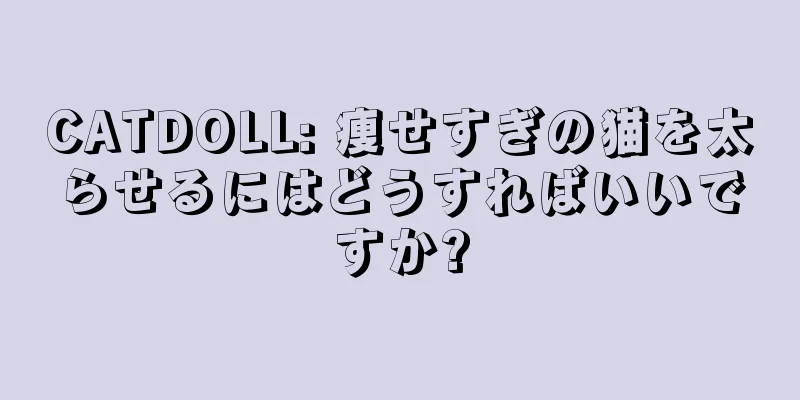 CATDOLL: 痩せすぎの猫を太らせるにはどうすればいいですか?