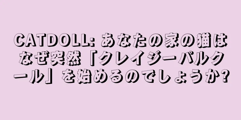 CATDOLL: あなたの家の猫はなぜ突然「クレイジーパルクール」を始めるのでしょうか?