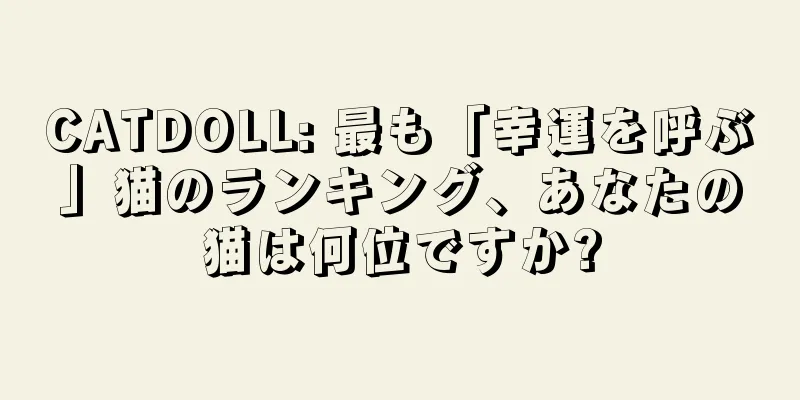CATDOLL: 最も「幸運を呼ぶ」猫のランキング、あなたの猫は何位ですか?