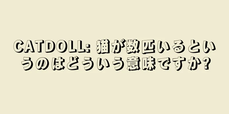 CATDOLL: 猫が数匹いるというのはどういう意味ですか?
