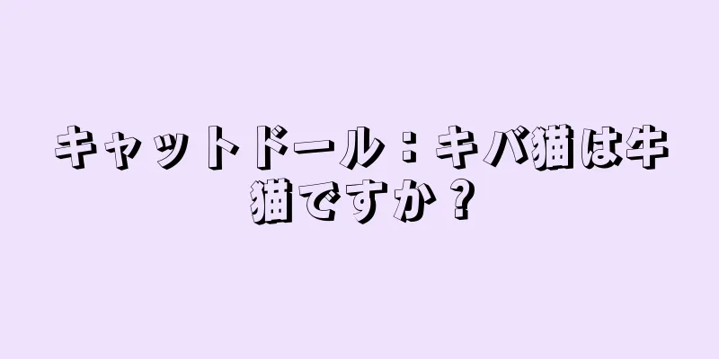 キャットドール：キバ猫は牛猫ですか？