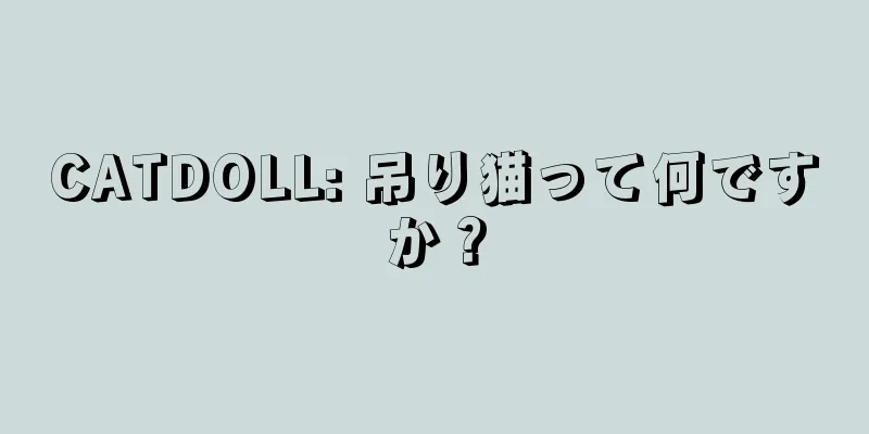 CATDOLL: 吊り猫って何ですか？