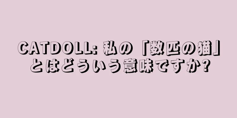 CATDOLL: 私の「数匹の猫」とはどういう意味ですか?