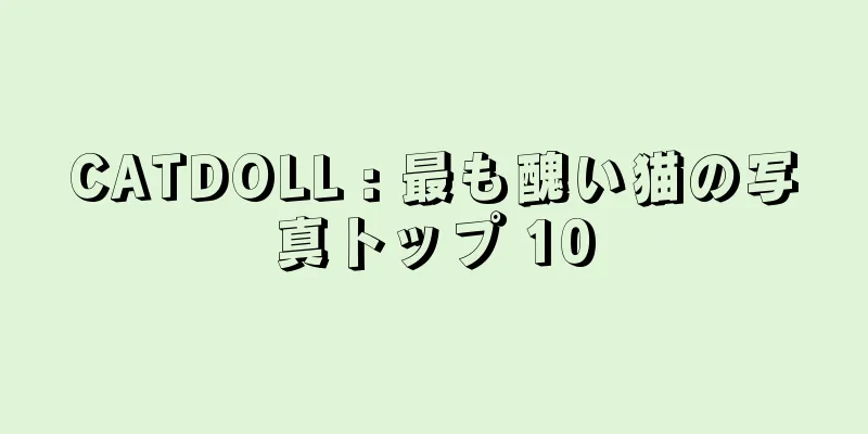 CATDOLL : 最も醜い猫の写真トップ 10