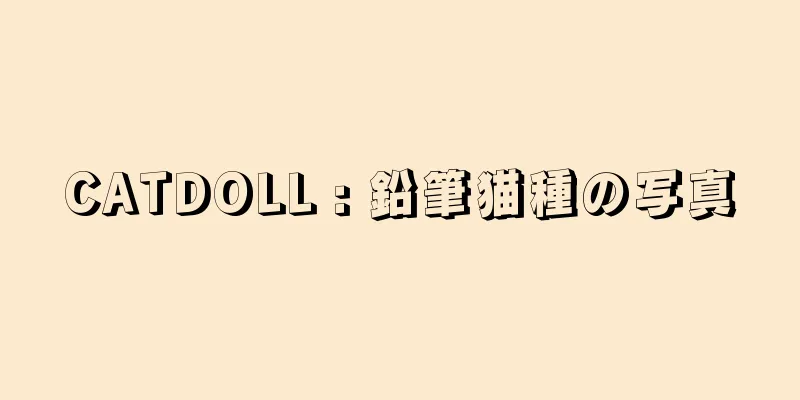 CATDOLL : 鉛筆猫種の写真