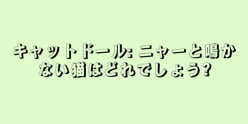 キャットドール: ニャーと鳴かない猫はどれでしょう?