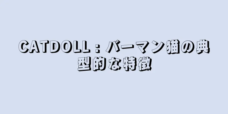 CATDOLL : バーマン猫の典型的な特徴