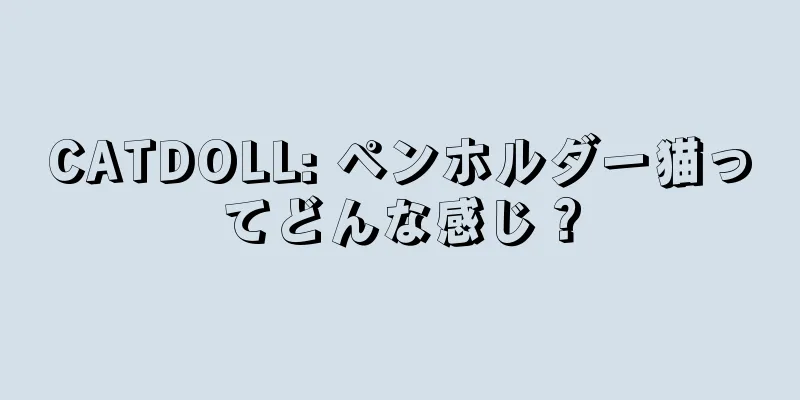 CATDOLL: ペンホルダー猫ってどんな感じ？