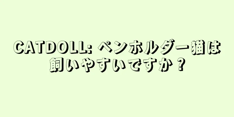 CATDOLL: ペンホルダー猫は飼いやすいですか？