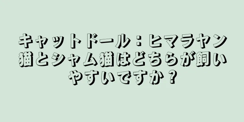 キャットドール：ヒマラヤン猫とシャム猫はどちらが飼いやすいですか？