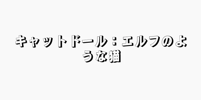 キャットドール：エルフのような猫