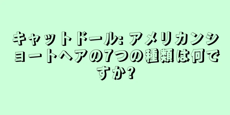 キャットドール: アメリカンショートヘアの7つの種類は何ですか?