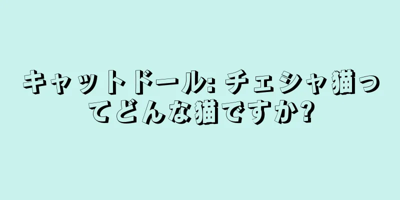 キャットドール: チェシャ猫ってどんな猫ですか?