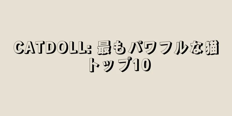 CATDOLL: 最もパワフルな猫トップ10