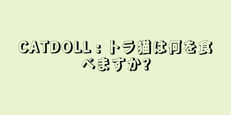 CATDOLL : トラ猫は何を食べますか?