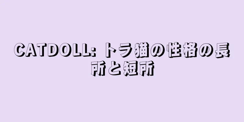 CATDOLL: トラ猫の性格の長所と短所