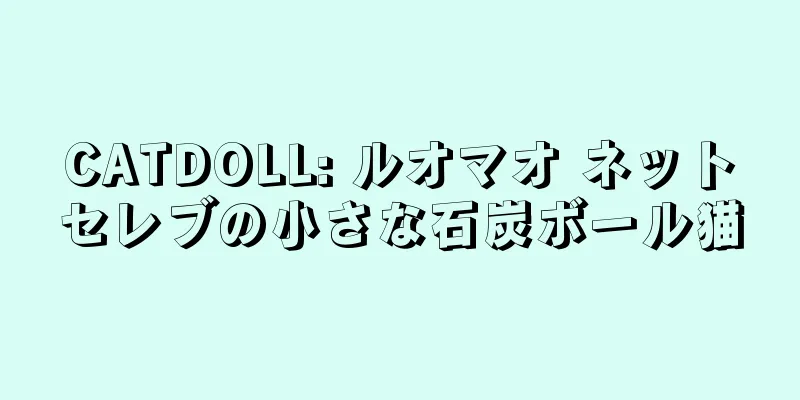 CATDOLL: ルオマオ ネットセレブの小さな石炭ボール猫