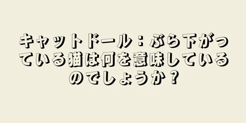 キャットドール：ぶら下がっている猫は何を意味しているのでしょうか？