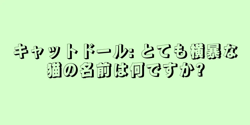 キャットドール: とても横暴な猫の名前は何ですか?