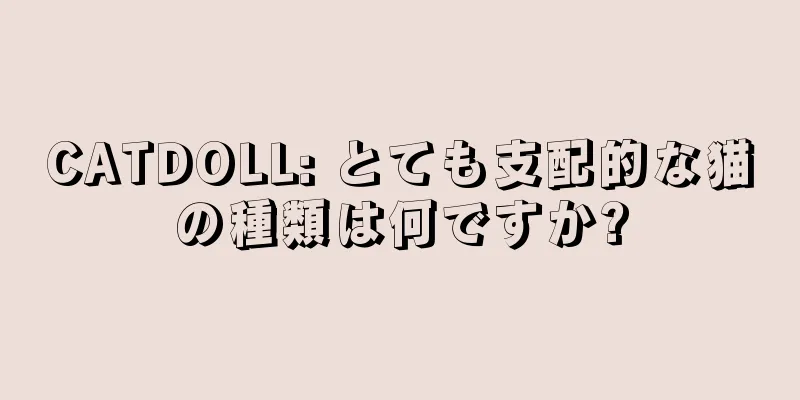 CATDOLL: とても支配的な猫の種類は何ですか?