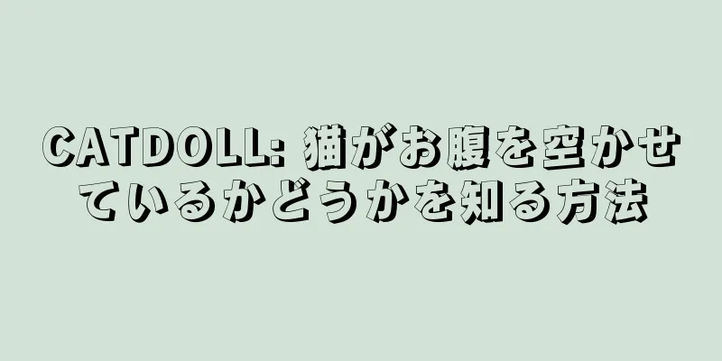 CATDOLL: 猫がお腹を空かせているかどうかを知る方法