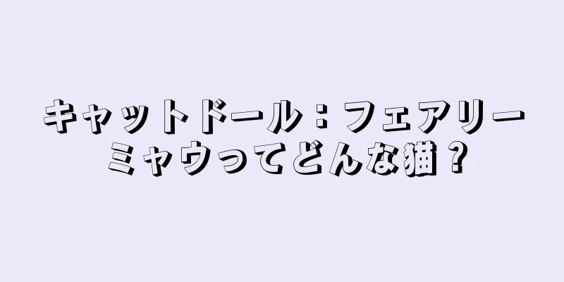 キャットドール：フェアリーミャウってどんな猫？