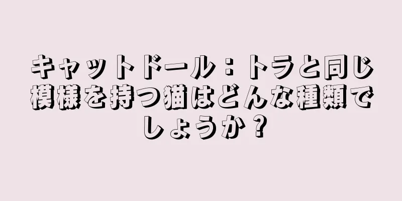 キャットドール：トラと同じ模様を持つ猫はどんな種類でしょうか？